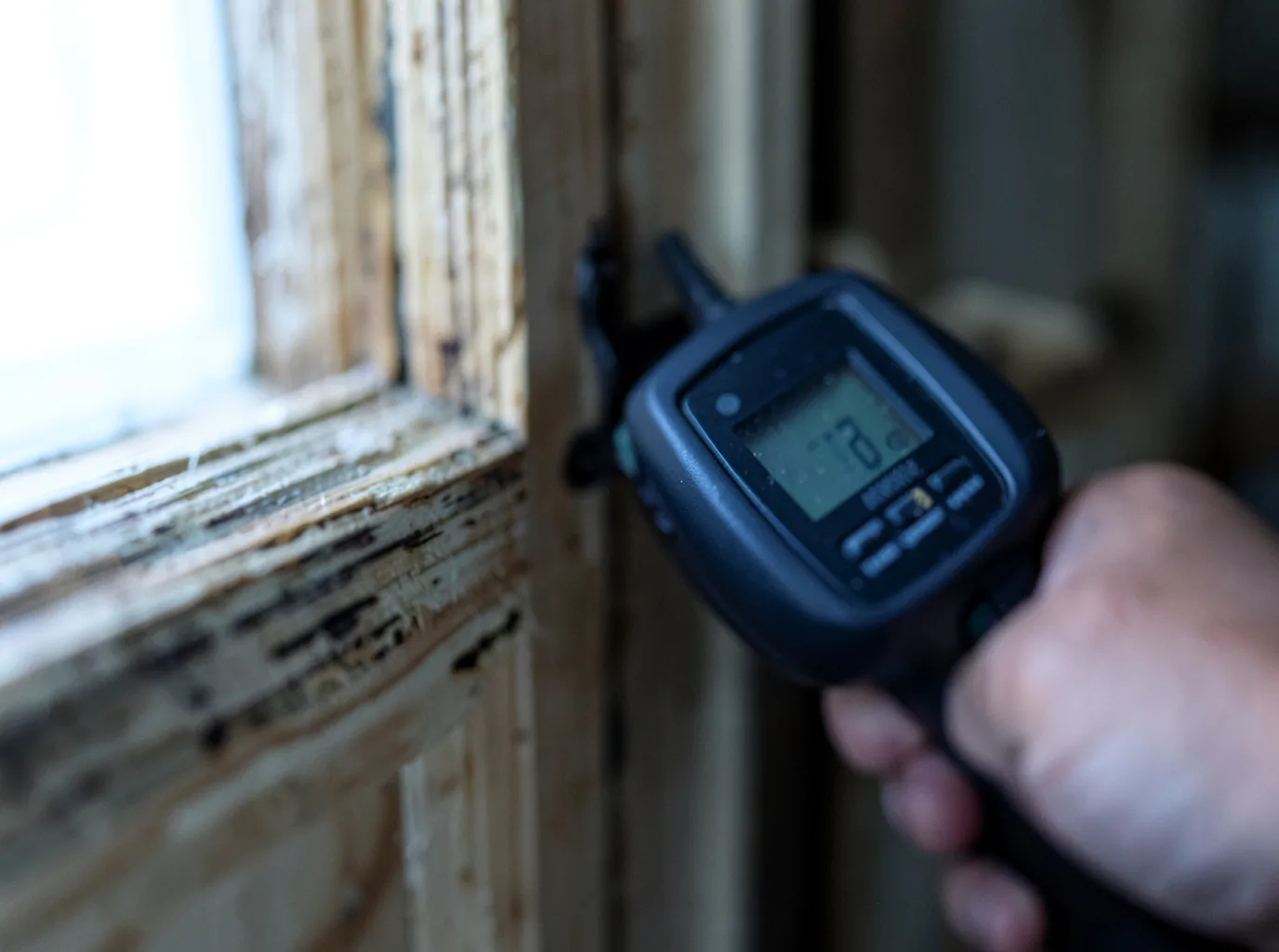 Commercial Water Damage Restoration in Taunton, MN